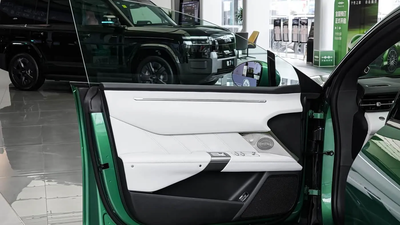 Fang Cheng Bao Formula S — interior door panel